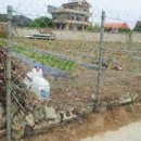 정동진공인중개사사무소 이미지