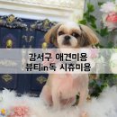 뷰티 in 독 이미지
