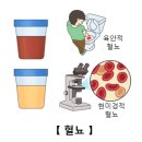 신결석 이미지