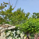 선샤인스포츠 이미지