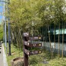 담양온천한식당 이미지