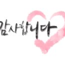 안철웅 유도앤주짓수 멀티짐 이미지