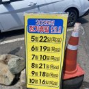 영덕수산시장 | 영덕 강구항 수산시장에서 회&amp;대게 포장 솔직후기