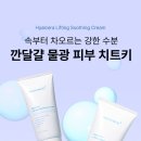 미라클약국 네이버블로그