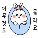 베리애견미용 네이버블로그