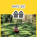 아이와 부안에 간다면 찐으로 추천하는 &#34;숲 체험놀이 키즈카페 솔솔&#34; 내돈내산 방문기