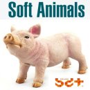 반디소프트 이미지