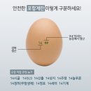 초이스타워 이미지