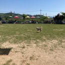 CU(명동삼거리점) 이미지