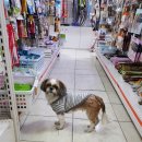 화곡8동 이미지