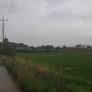 남양행정사사무소 이미지