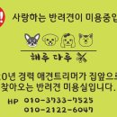 해루다루 이미지