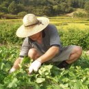 남궁농장 이미지