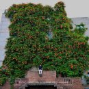 경일빌딩 주변 이미지