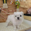 이쁘개(내포신도시점) 이미지