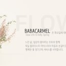 꽃바바 이미지