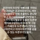 참빛사진영상 | 성미니는2025를어떻게보냈을까