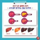로하스버섯