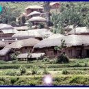 향-고향의 정 이미지