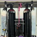 더 스카이짐 정발산점 | 정발산헬스장 더스카이짐 정발산점 방문 후기