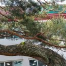 각남면사무소 이미지