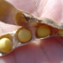 길림농장 이미지