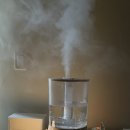 더 홈 | 세척 쉬운 신생아 가습기 추천 | 브링더홈 복합식 가습기 내돈내산 후기 + 할인코드