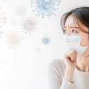 크리스마스의원 이미지