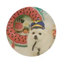 꽃길만걷개 이미지