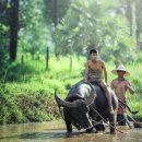 4차 산업혁명과 스마트 팜 이미지