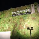 부산 현대미술관 : 레인룸 (예매방법,사진꿀팁!)