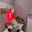 제주연합재활의학과의원 이미지