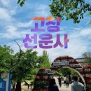 역북따뜻한11월학원 | 전북 고창 여행 : 선운사 산책코스 &amp; 무료 다도 체험 후기