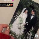 11650-16-96-5 | "96kg에서41kg" 최준희, 5월 신부 앞 어깨 시술로 완성한 직각 어깨