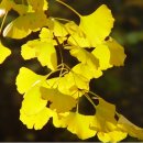 유익한 생활정보 이미지