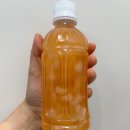 음료 강추, 슈가로로 코코제로 0칼로리 실화? 내돈내산 강추 후기(모구모구, 코코팜 저칼로리 버전)