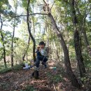 아이숲유치원 이미지