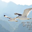오리날다 이미지