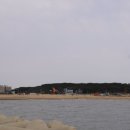 왕산물회
