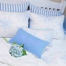 스카이블루마운틴 이미지