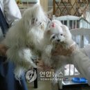 이수의과동물병원 연합뉴스
