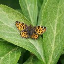 에덴동물병원 이미지