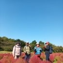 10월11일(화) 인천 드림파크공원걷기. 이미지
