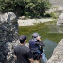 옥계-3 | 금지구역이 너무 늘어난 영덕옥계계곡 3년차 후기