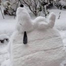 데굴데굴 이미지