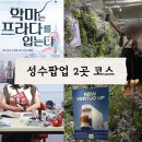 월드태권전문도장 | 성수 핫플 팝업 투어 (네스프레소 버츄오 월드부터 악마는 프라다를 입는다 2 팝업까지!
