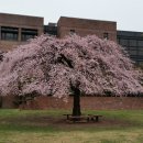 4월 답사 보고 : 덕성여대 박물관, 연산군묘, 정의공주묘 이미지