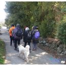 우리마을점빵 이미지