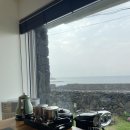 제주애아리 이미지