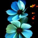 목마르지 이미지